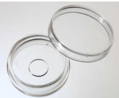 35mm 玻底培養(yǎng)皿，激光共聚焦專用培養(yǎng)皿