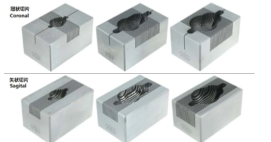 腦模具150-300G大鼠，冠狀，1MM