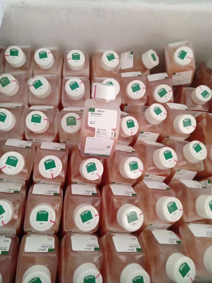 DMEM/高糖(含高糖、L-谷氨酰胺、酚紅，不含丙酮酸鈉、HEPES、磷酸鹽)產(chǎn)品已下架